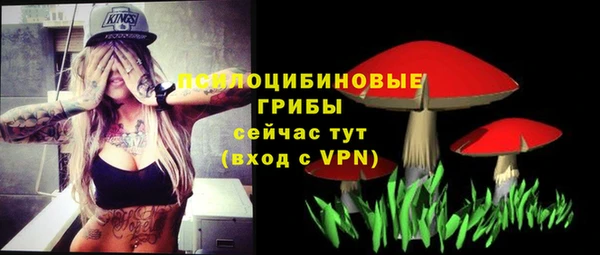 гидра Баксан