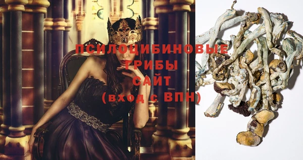 эйфоретик Балахна
