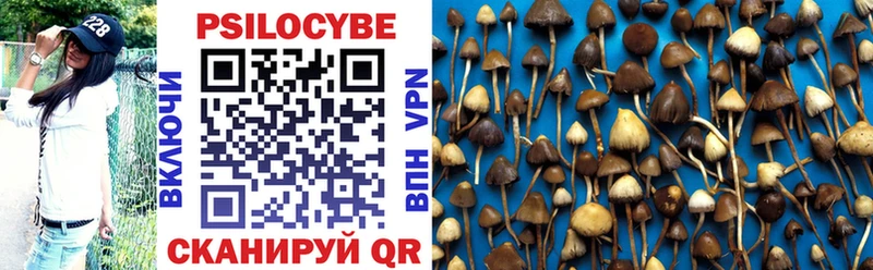 Галлюциногенные грибы мухоморы  Велиж 