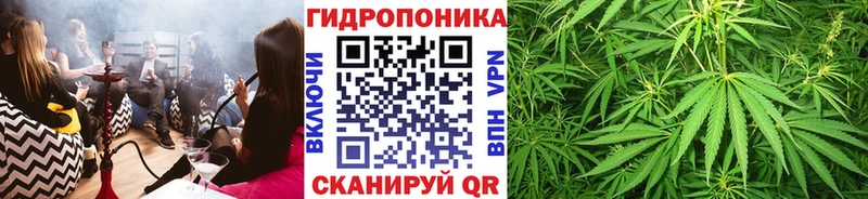 Конопля MAZAR  купить   Велиж 
